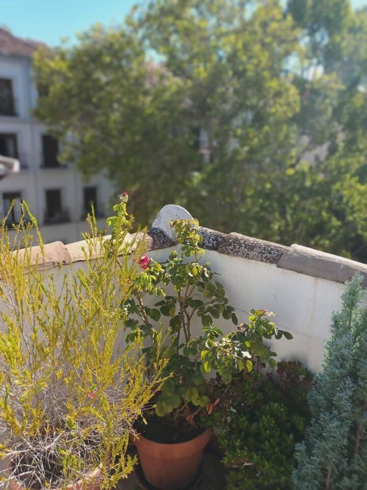 Apartment Home4u Santo Domingo Granada